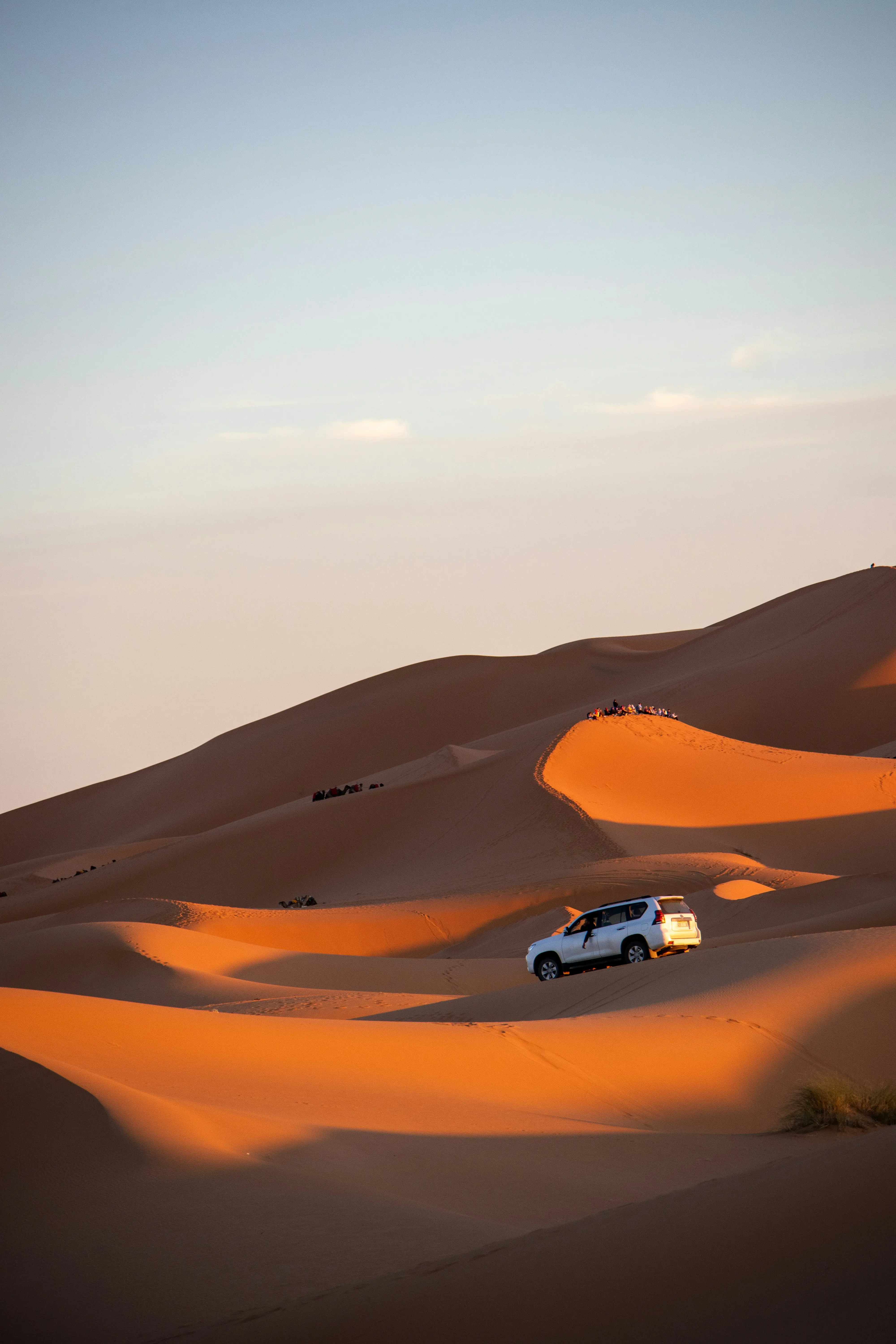 Day 8: Merzouga