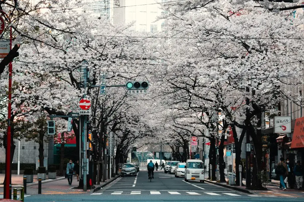 Day 2: Tokyo