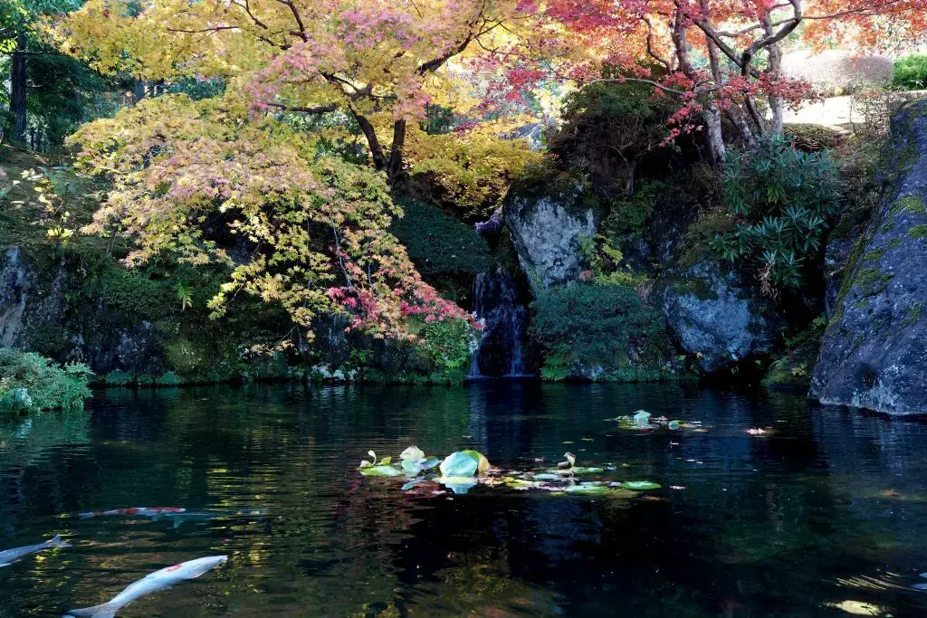 Day 3: Tokyo, Kawaguchiko