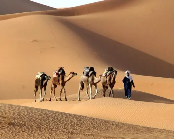 Day 4: M'hamid, Camel Trek at the desert, Zagora