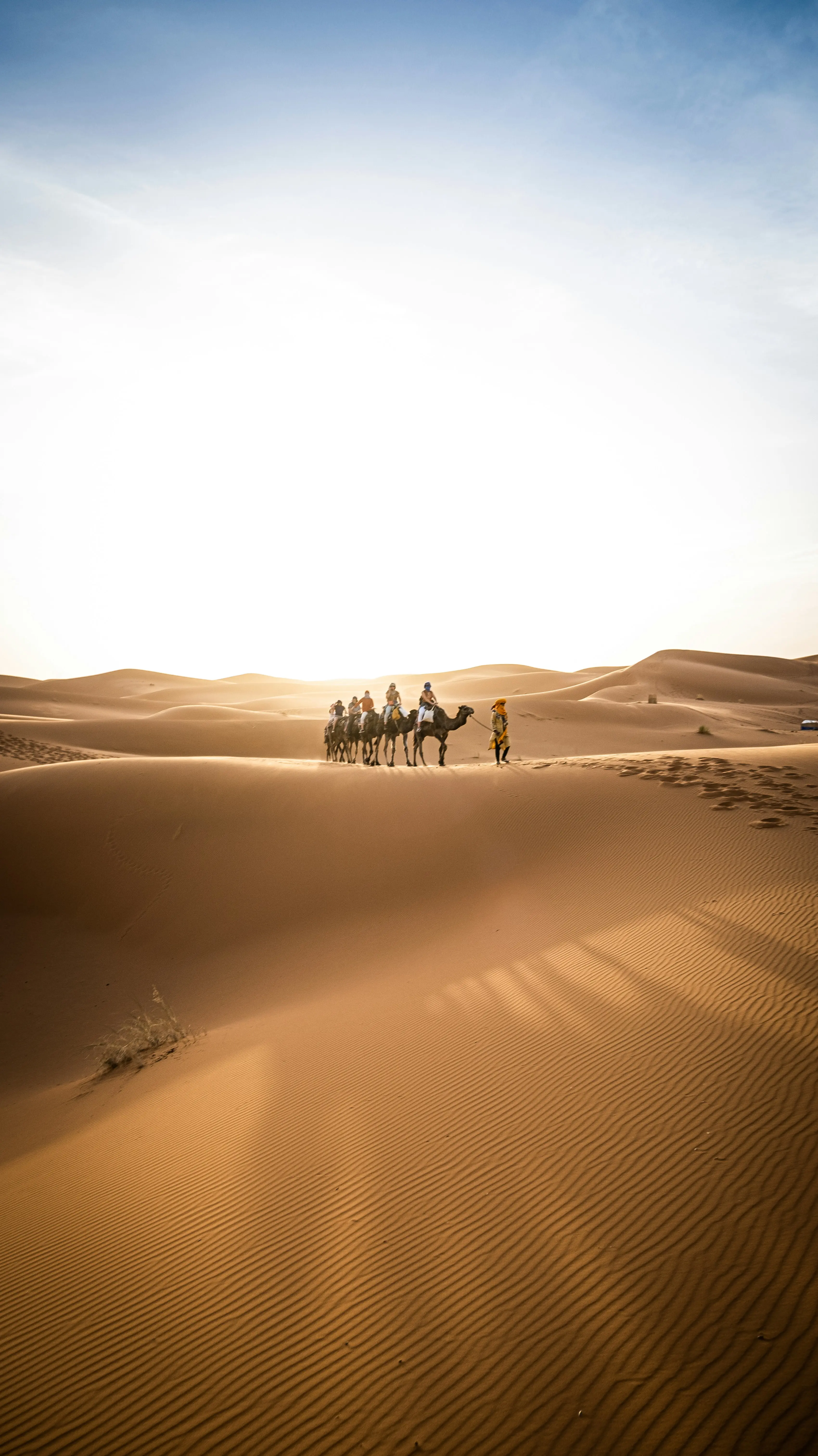 Day 7: Fes - Merzouga