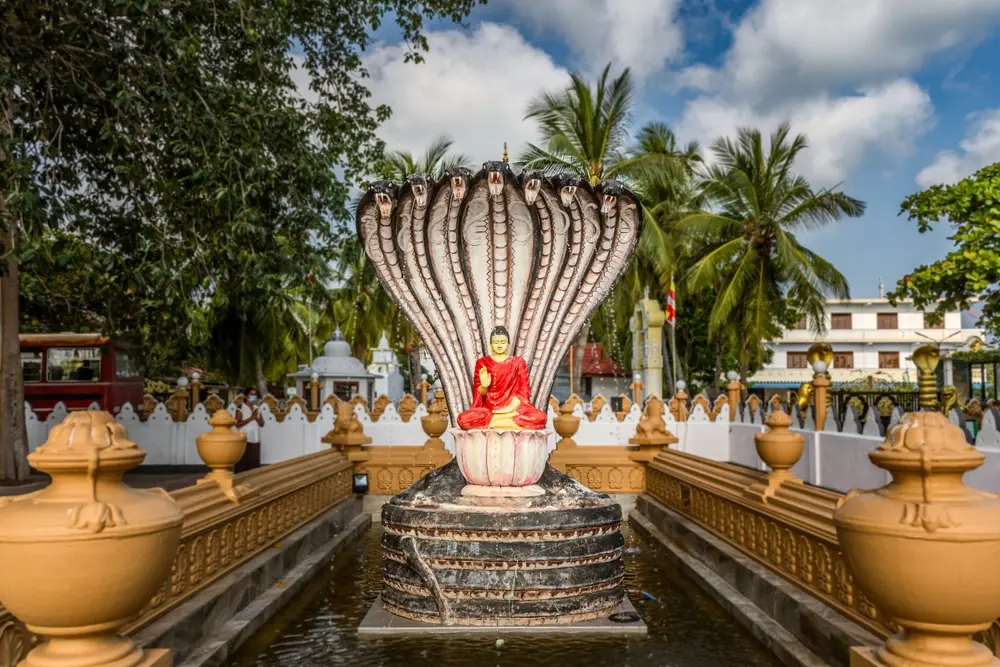 Day 3: Jaffna CT, Delft Island, Nagadeepa, Jaffna
