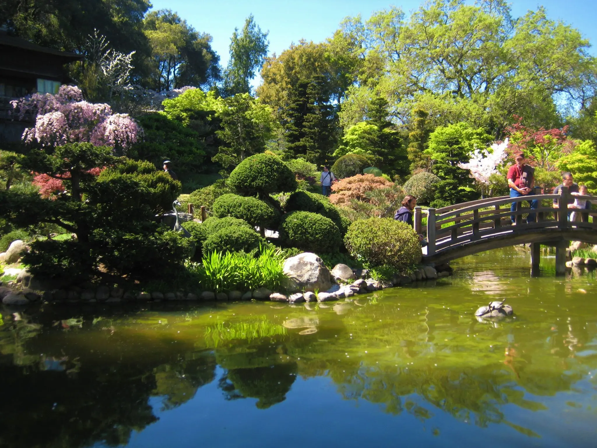 Day 3: Tokyo, Kawaguchiko