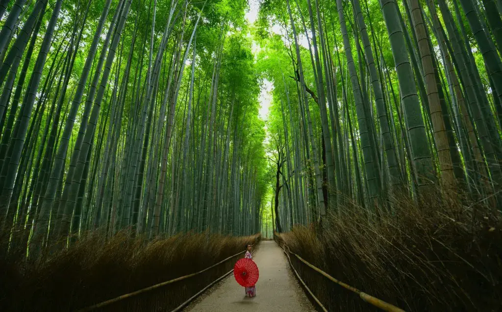 Day 10: Osaka, Koya-san