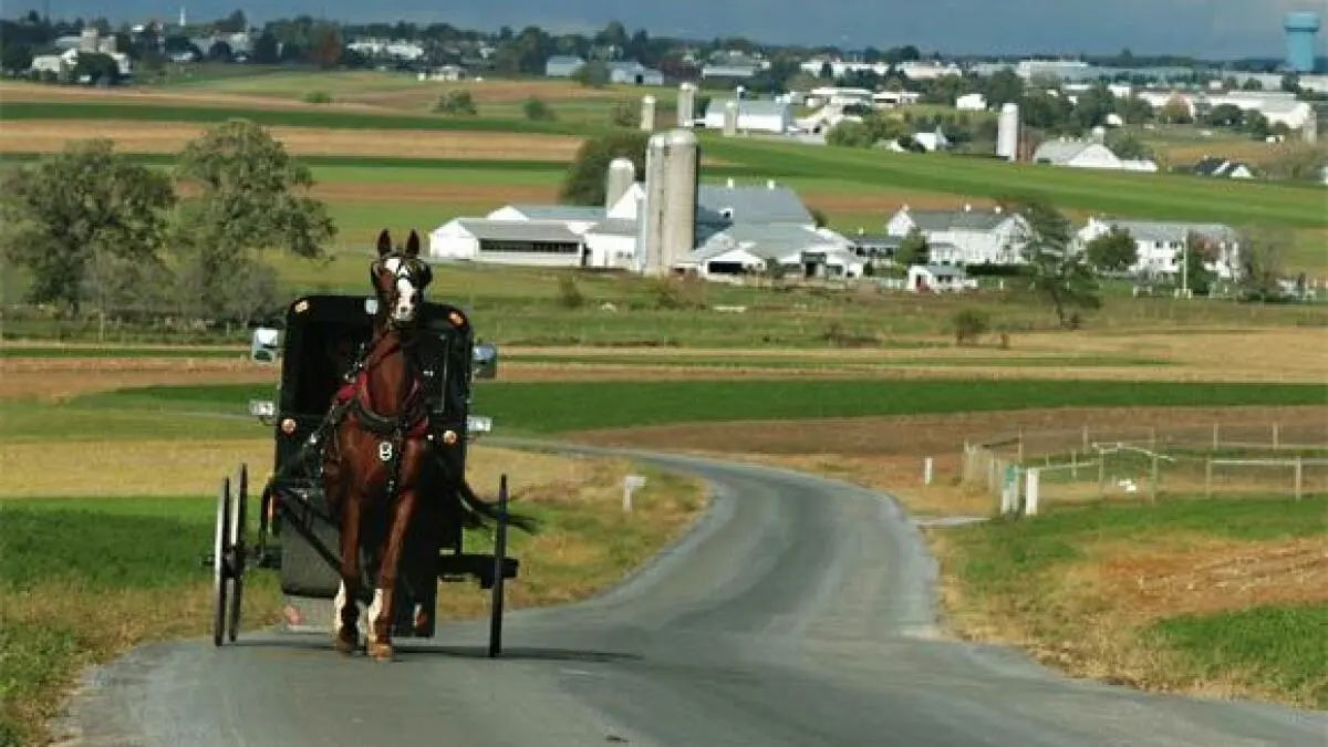 Day 5: Pennsylvania Dutch Country - Gettysburg - Washington, D.C