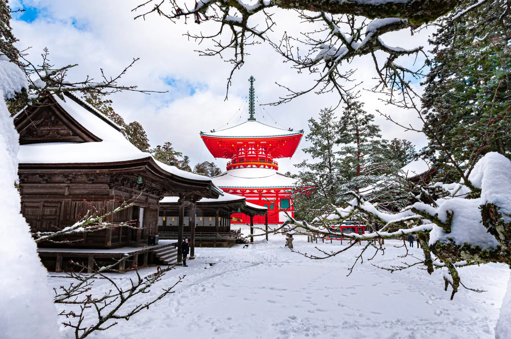 Day 11: Koya-san, Osaka