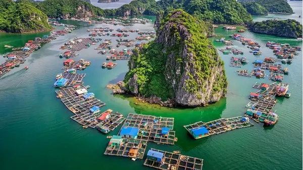 Day 4: Halong Bay, Flight to Danang, Hoi An