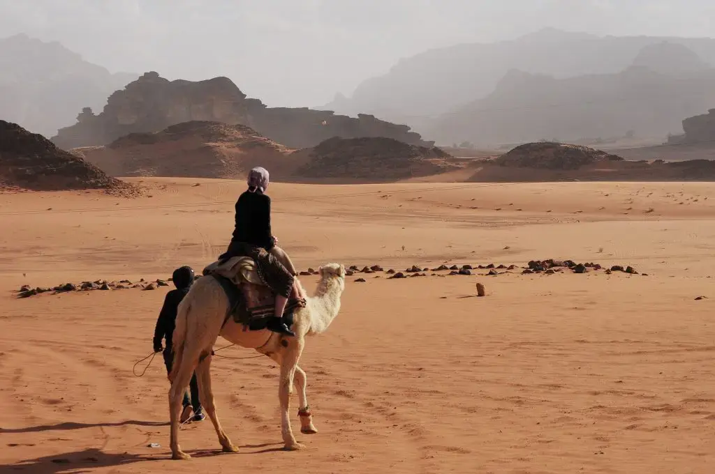 Day 12: Wadi Rum, Petra